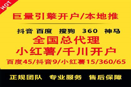 成功运用SEM技术提升网站流量的案例研究